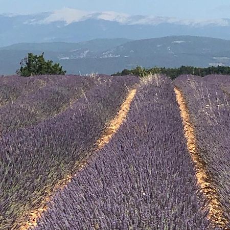 Provence Luberon Bonnieux Location Gite Chez Marcelle Luaran gambar